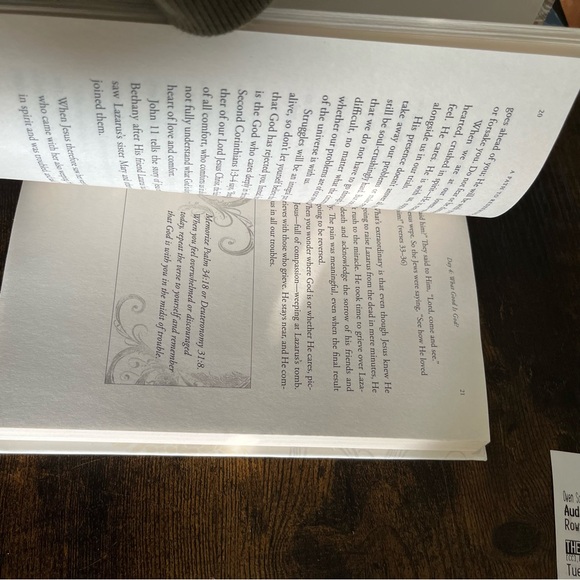 Redeeming Love Book-40-Day Devotional By Francine Rivers/Karin Stock Buursma Set - Picture 11 of 11